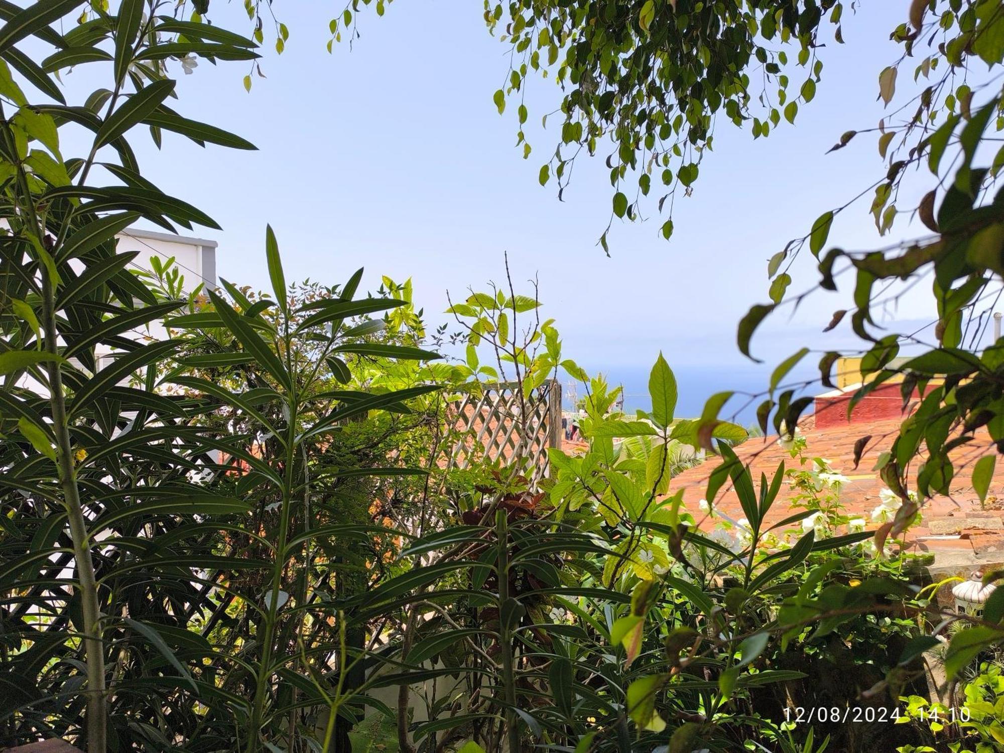 Casa Flora Garden Studio Sauzal Exteriör bild